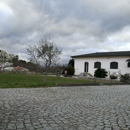 Casa Dos Lacosヴィゼウ エクステリア 写真